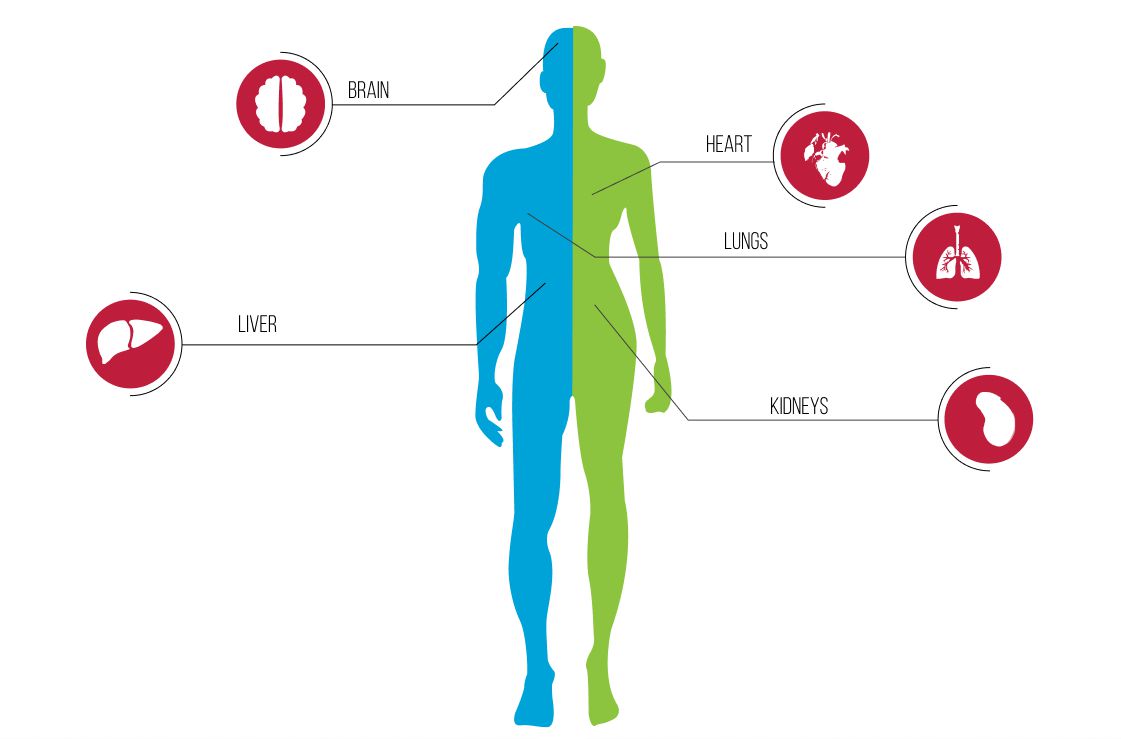 Infographic showing the effects of alcohol on the body.